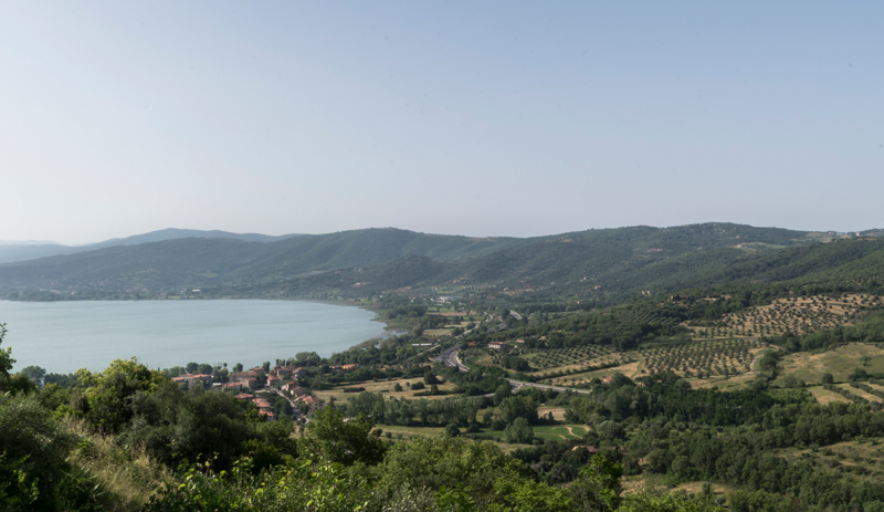 _DSC0082